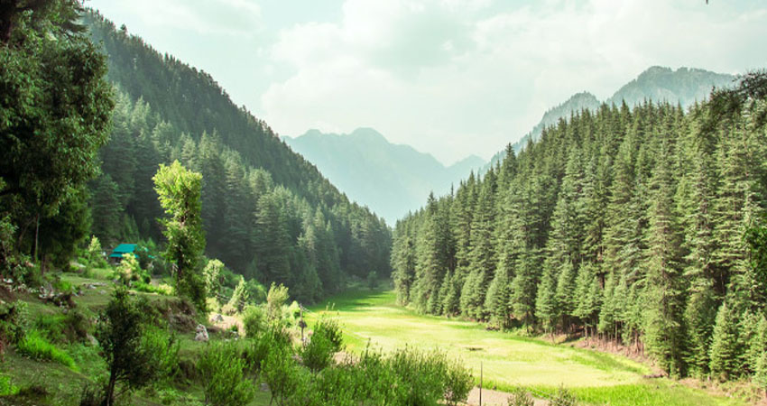 Verdant Vista Homestay